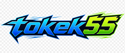 Logo tokek55